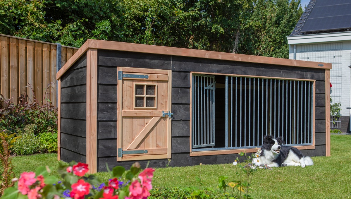 Hondenkennels